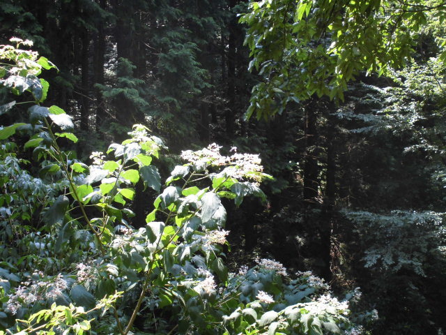 b0181818_08555839.jpg