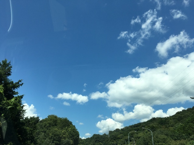 f0231829_19174903.jpeg