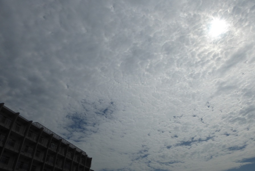 d0288144_23121067.jpg