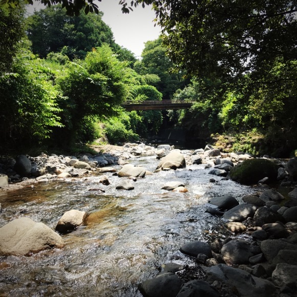c0312349_12243840.jpg
