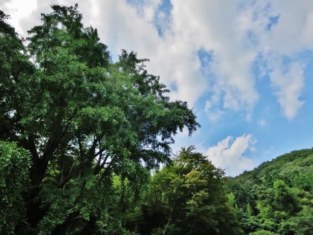 c0099564_20145731.jpg