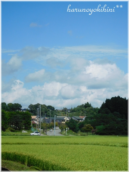 d0337265_2335595.jpg