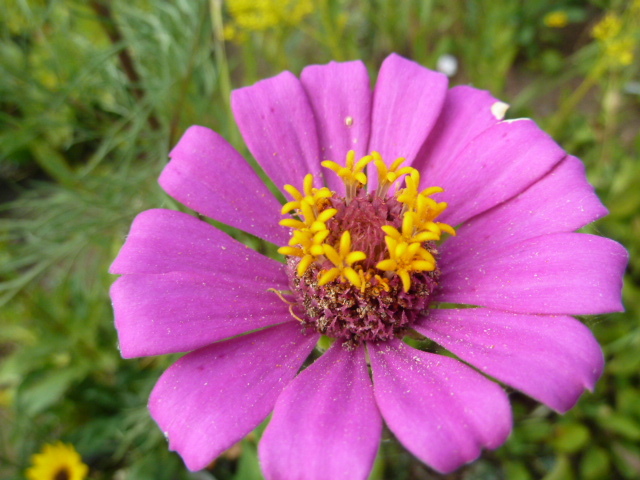 e0278968_22535105.jpg