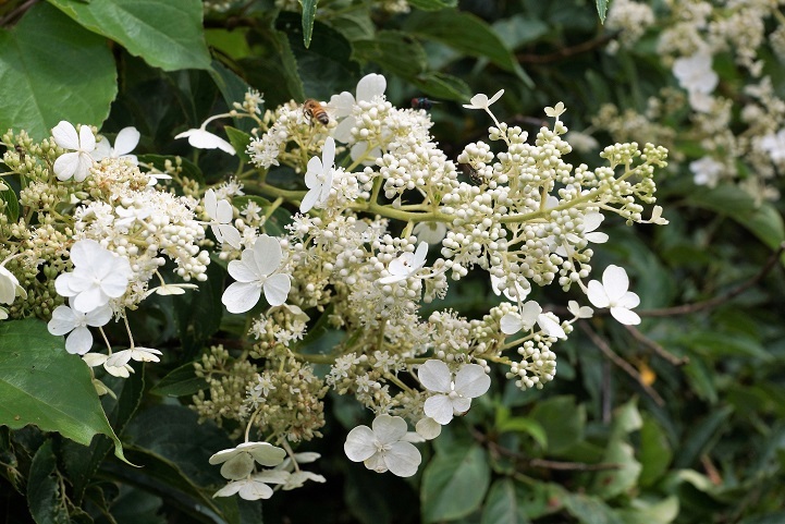 c0248473_16574941.jpg