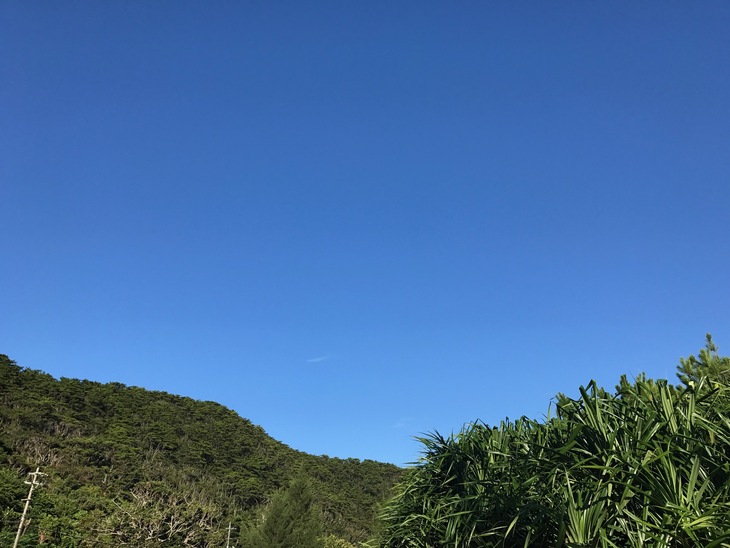 d0363878_1022418.jpg