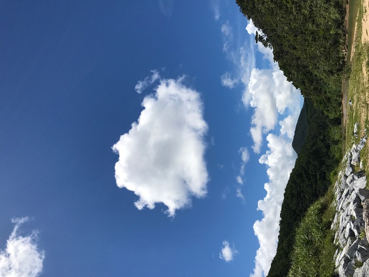 d0363878_14553171.jpg
