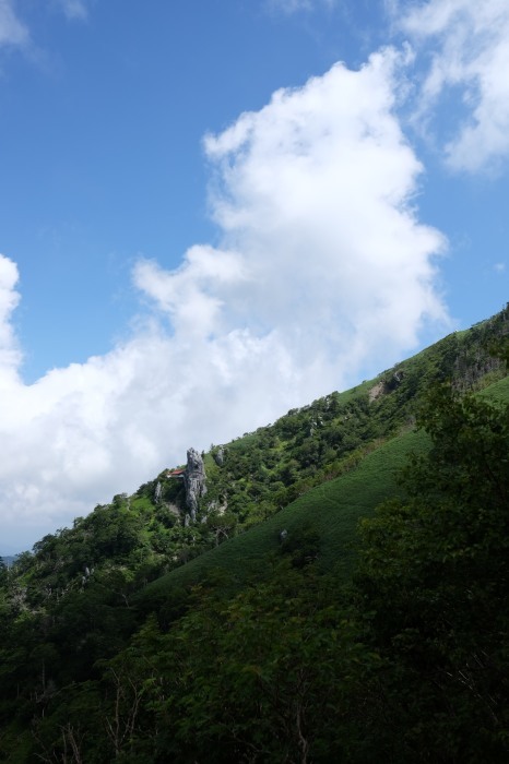 d0171080_19242946.jpg