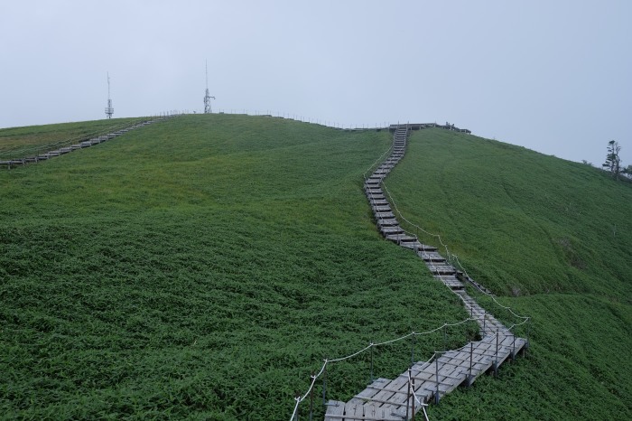 d0171080_19245718.jpg