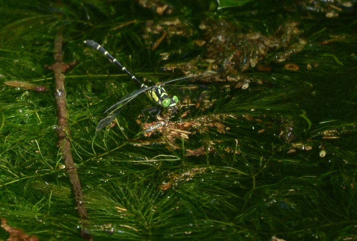 e0353790_04011811.jpg