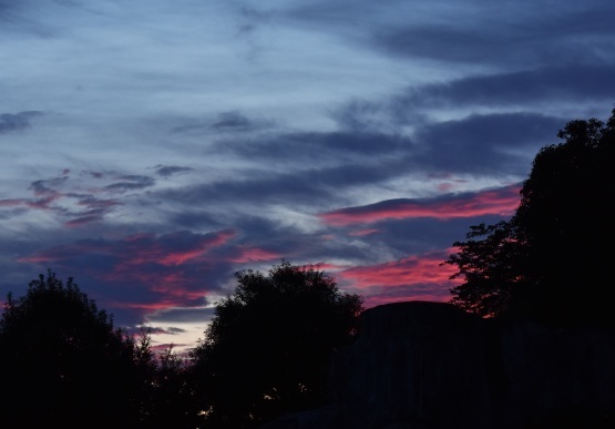 d0090801_14264727.jpg