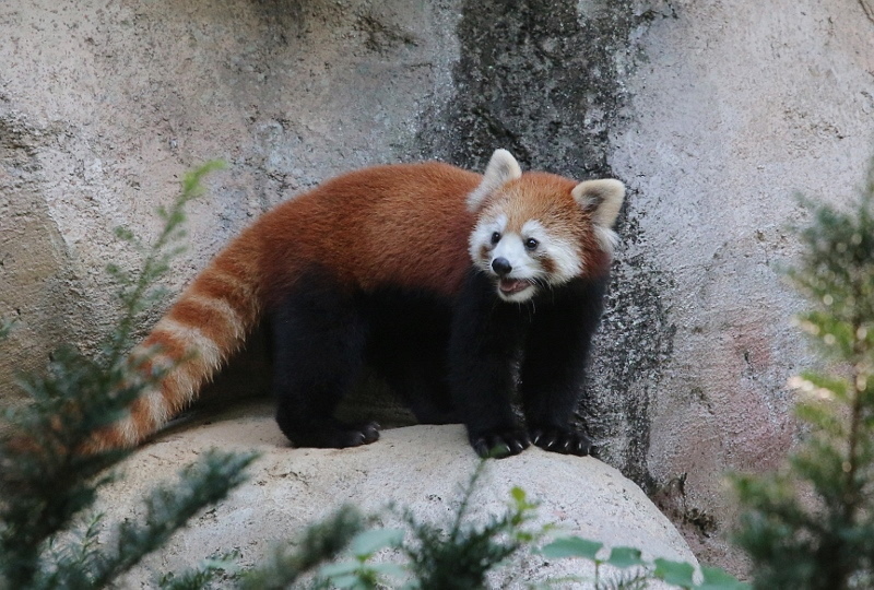 a0306502_23022684.jpg