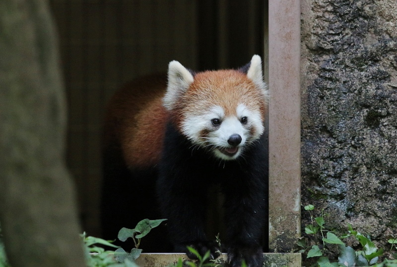 a0306502_23022725.jpg