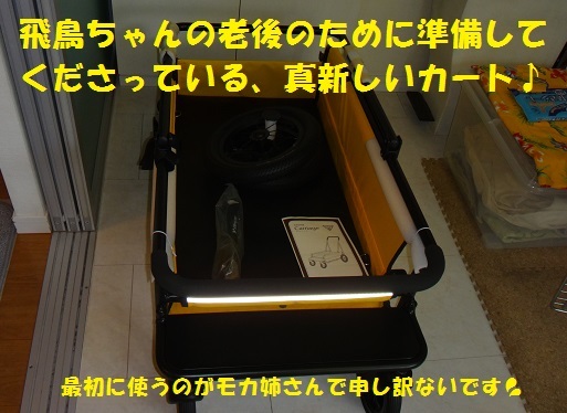 f0121712_15015515.jpg