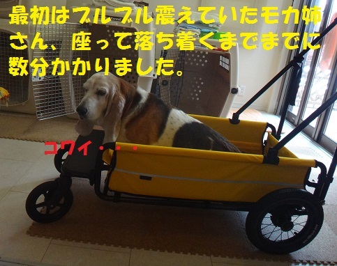 f0121712_15125840.jpg
