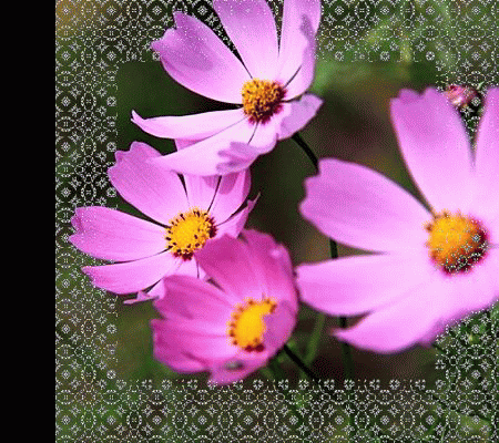 d0347025_17130330.gif