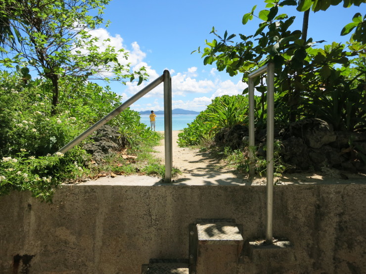 d0172227_20124442.jpg