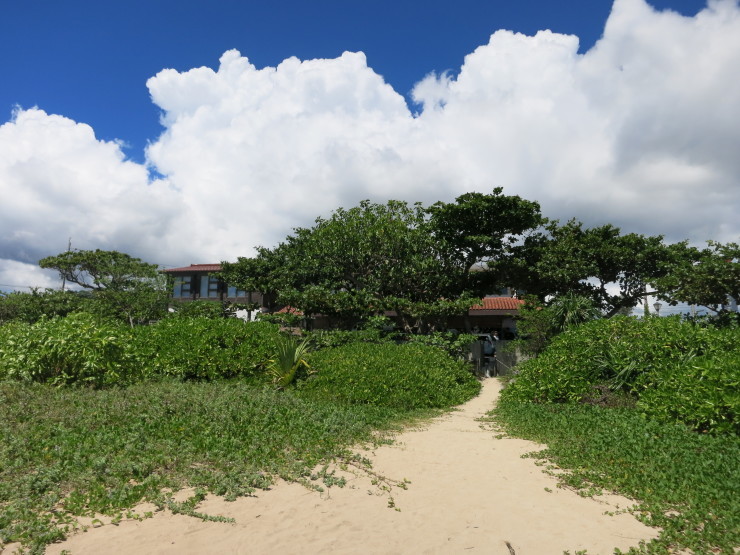 d0172227_20134255.jpg