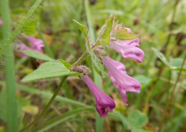 f0118332_23221252.jpg