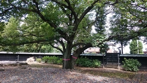 c0100865_13475321.jpg