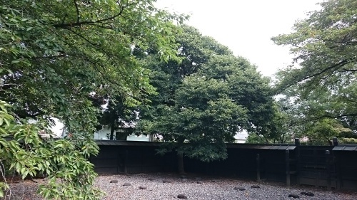 c0100865_13483473.jpg