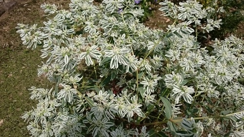 c0100865_13520913.jpg