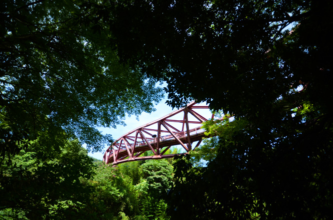 d0095673_16382854.jpg