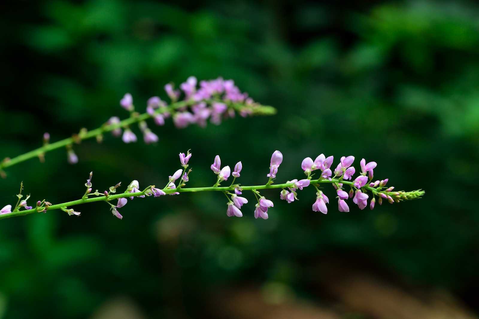 d0328977_17373265.jpg