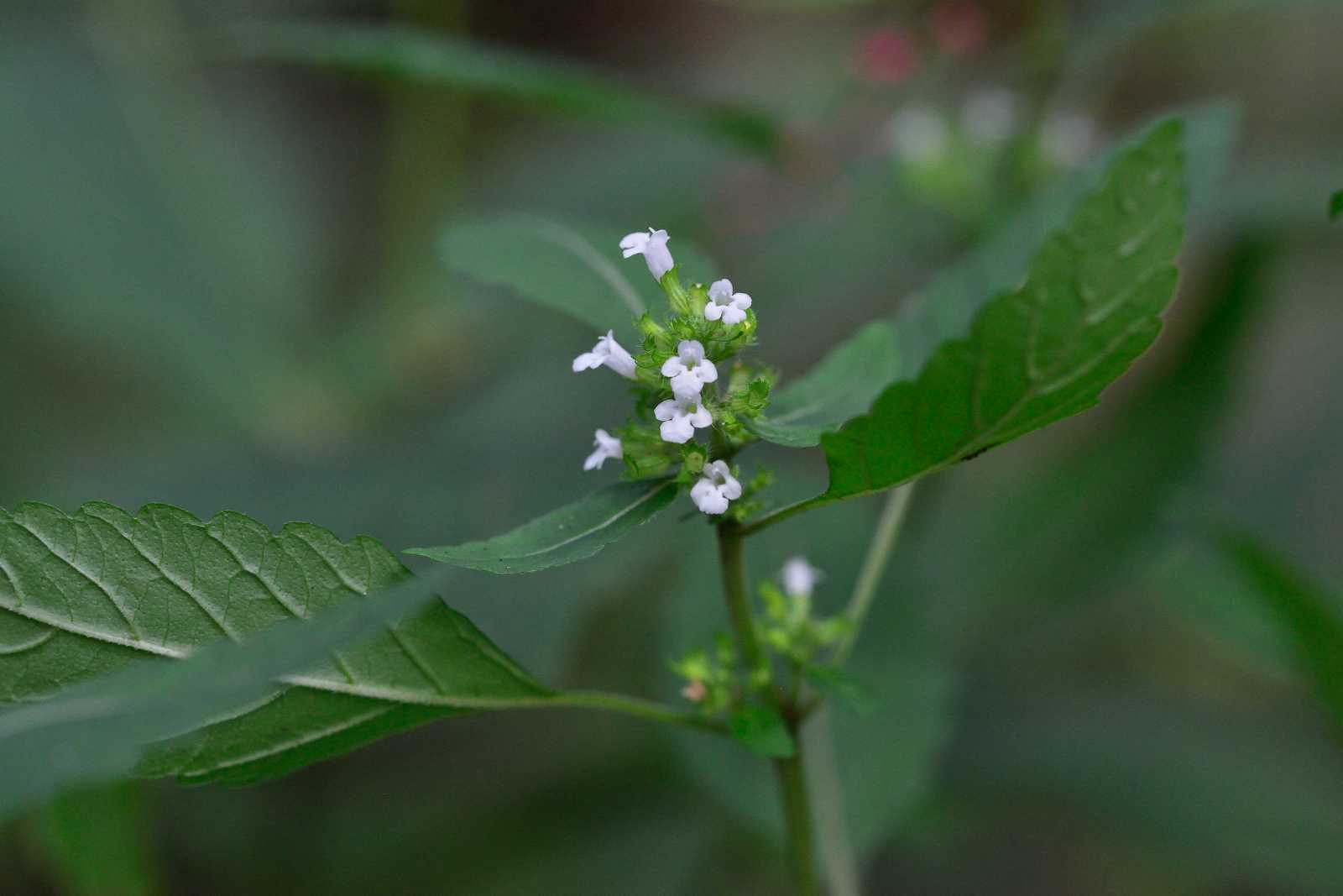 d0328977_17384140.jpg