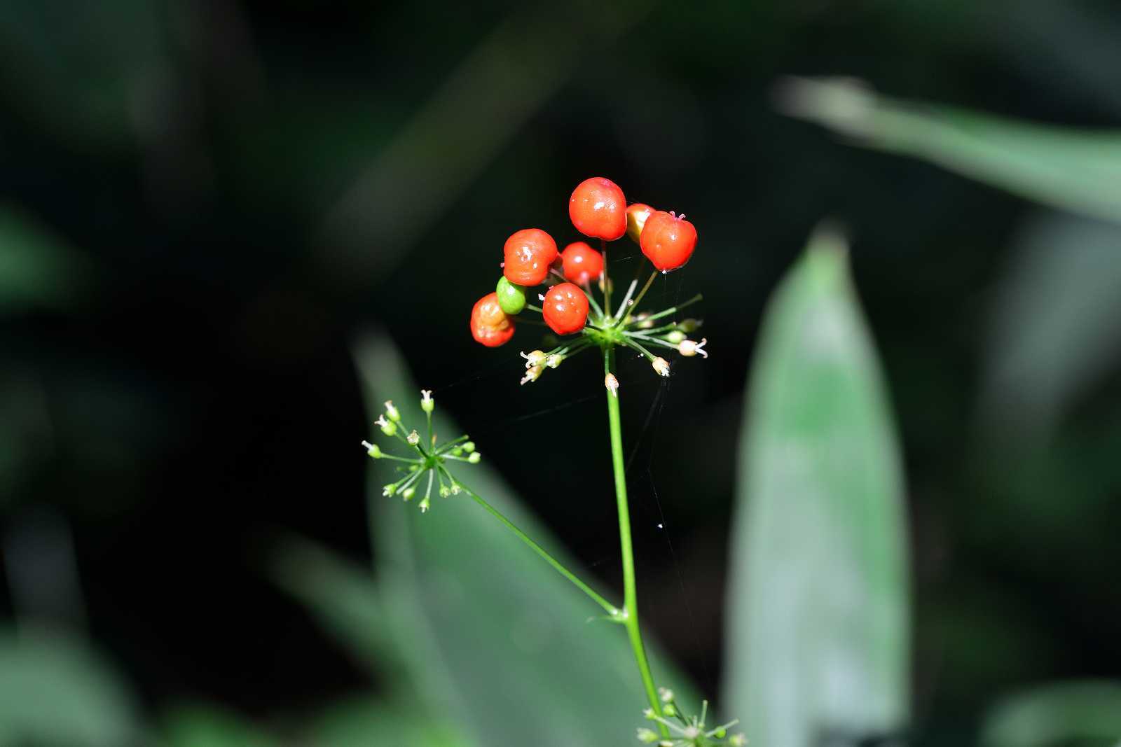 d0328977_18461311.jpg