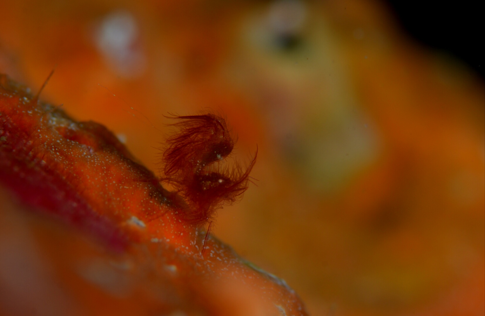 b0137083_1645464.jpg