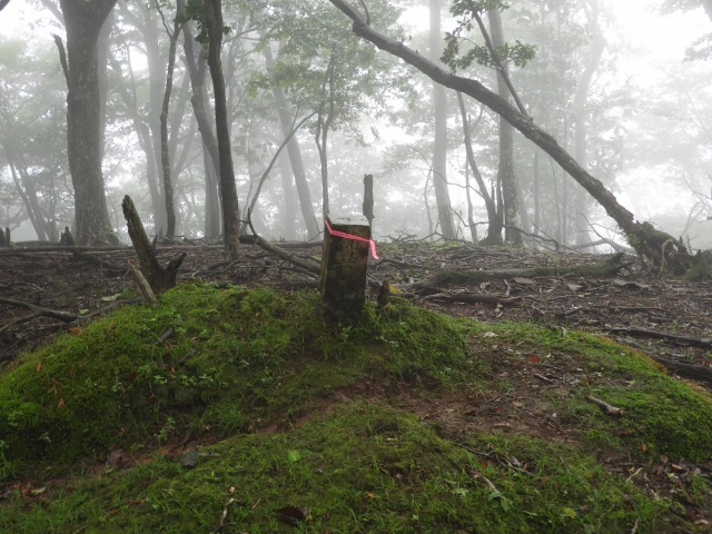 f0357487_12301523.jpg