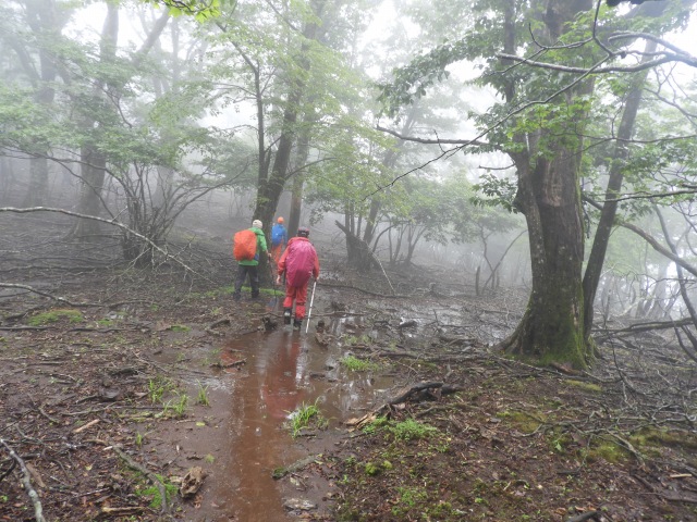 f0357487_12313413.jpg