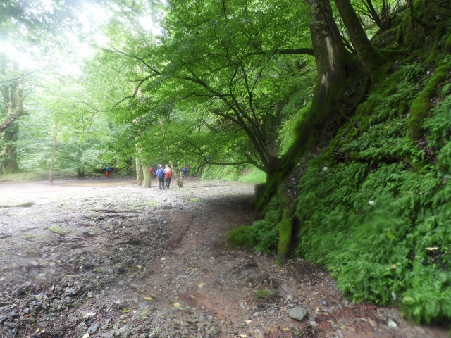 f0357487_1357290.jpg