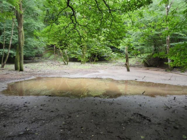 f0357487_1421589.jpg