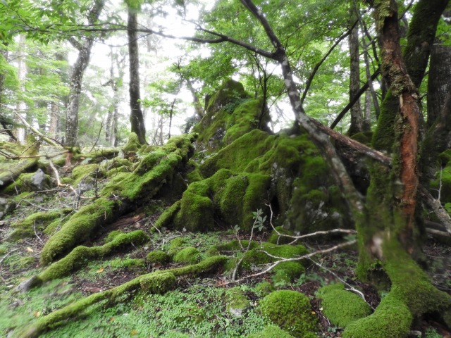 f0357487_145335.jpg