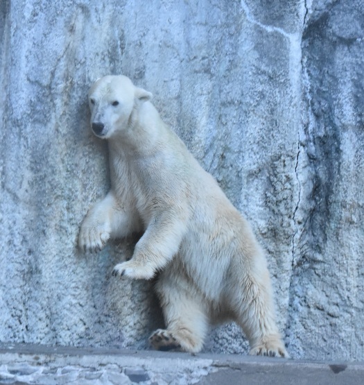 d0090801_19502983.jpg