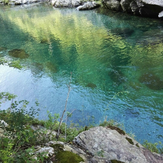 e0359403_17193425.jpg