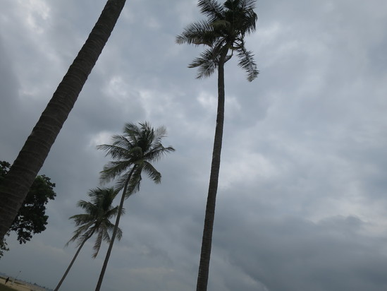 c0212604_6194569.jpg