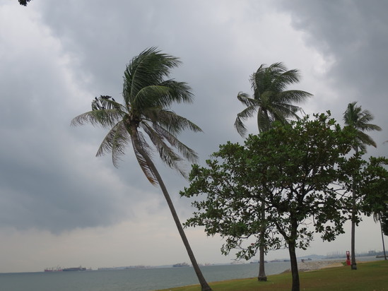 c0212604_623880.jpg