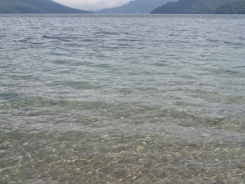 a0189506_22030255.jpg