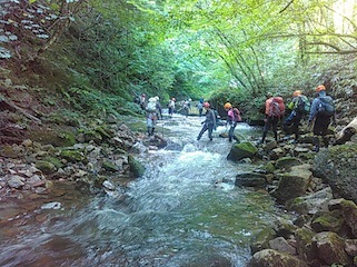 c0359615_21370437.jpg