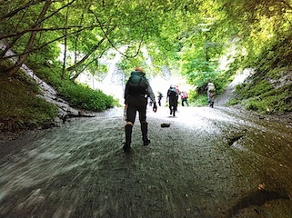 c0359615_21381857.jpg