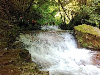 c0359615_21390734.jpg