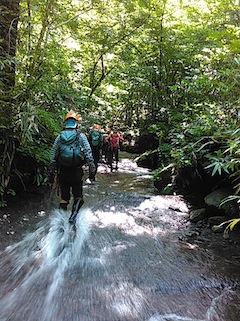 c0359615_21394605.jpg
