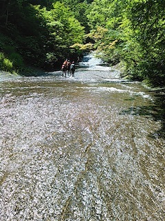 c0359615_21433751.jpg