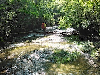 c0359615_21443470.jpg