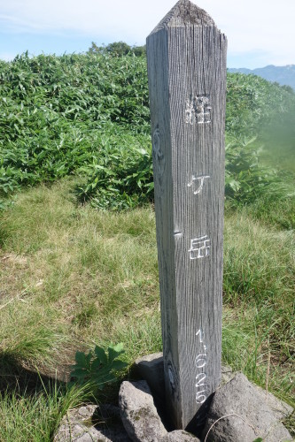 c0223019_23021161.jpg