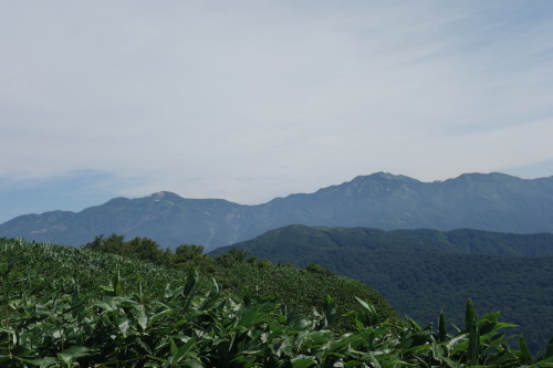 c0223019_23051420.jpg