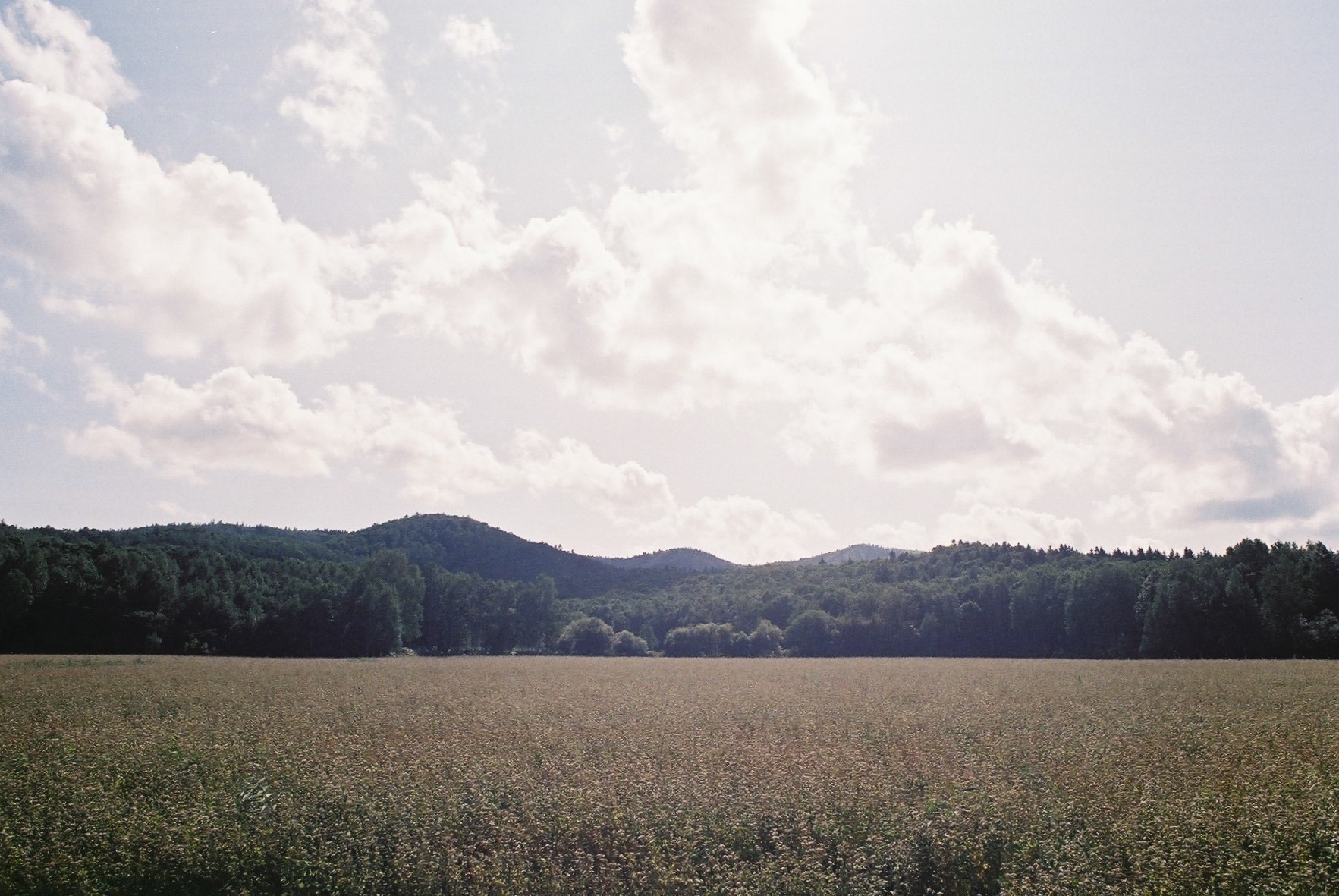 f0362725_16244440.jpg