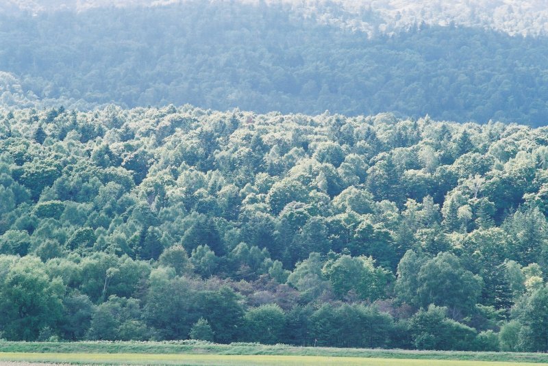 f0362725_16255298.jpg